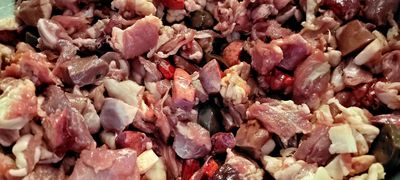joydogs Barf gefroren