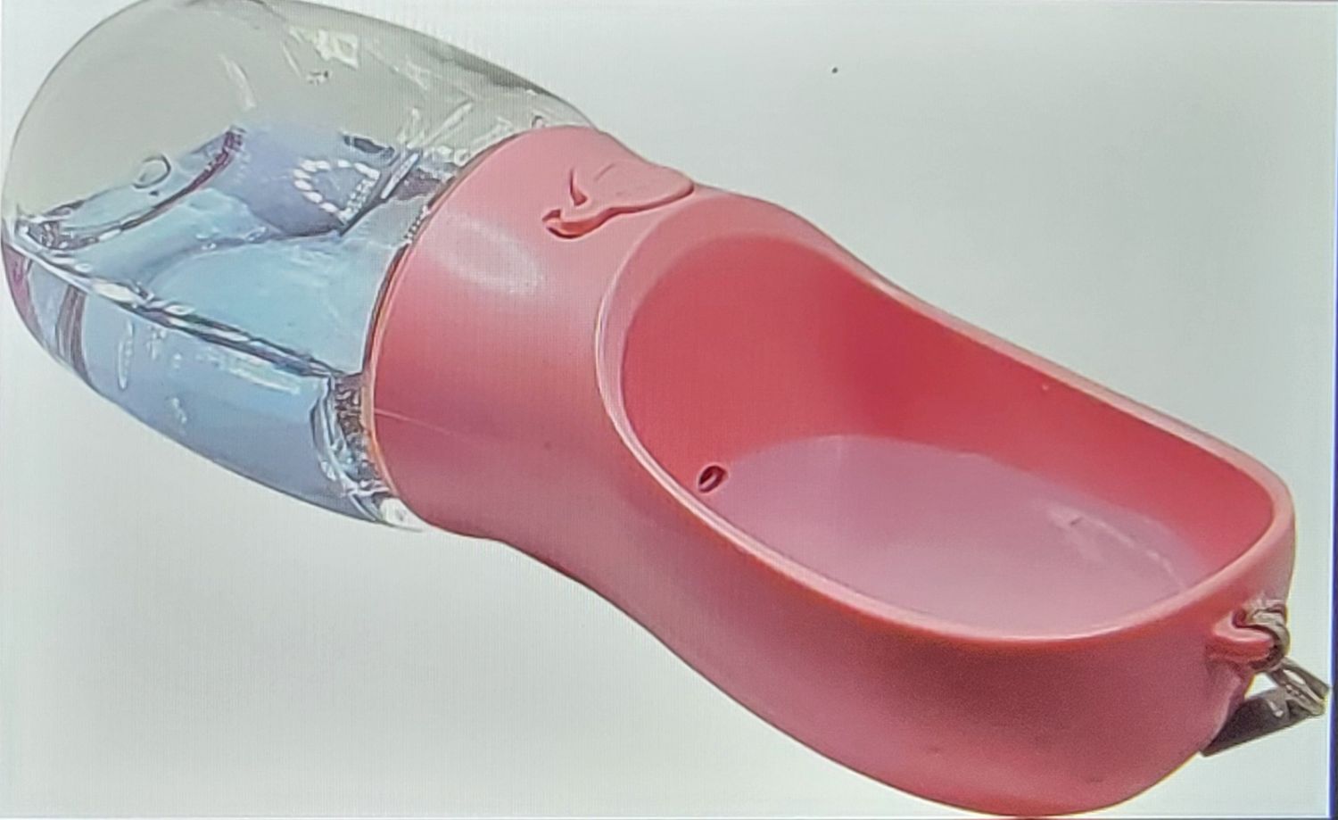 Reise Wassernapf