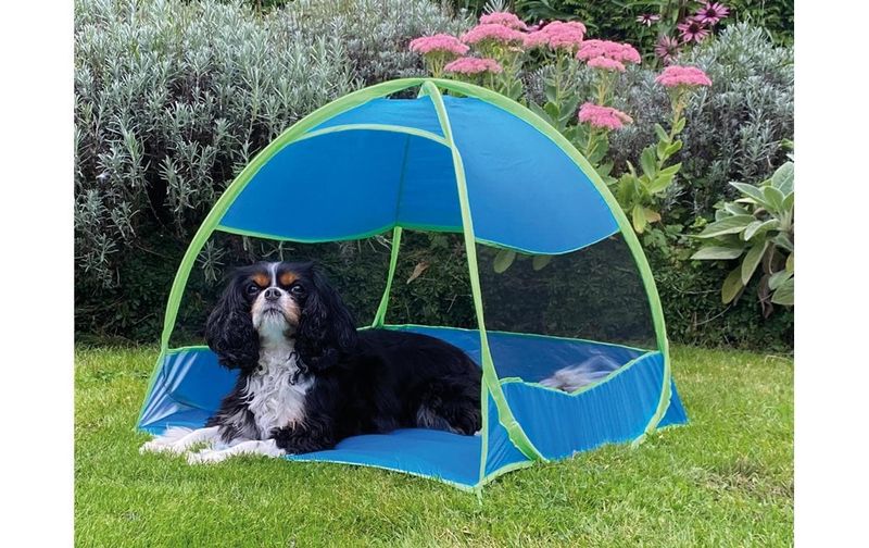 Hundezelt