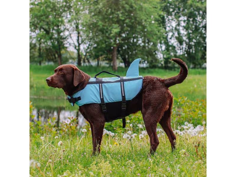 Schwimmweste