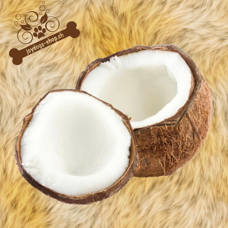 joydogs Kokosnussoil