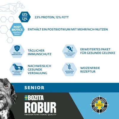 Robur Senior