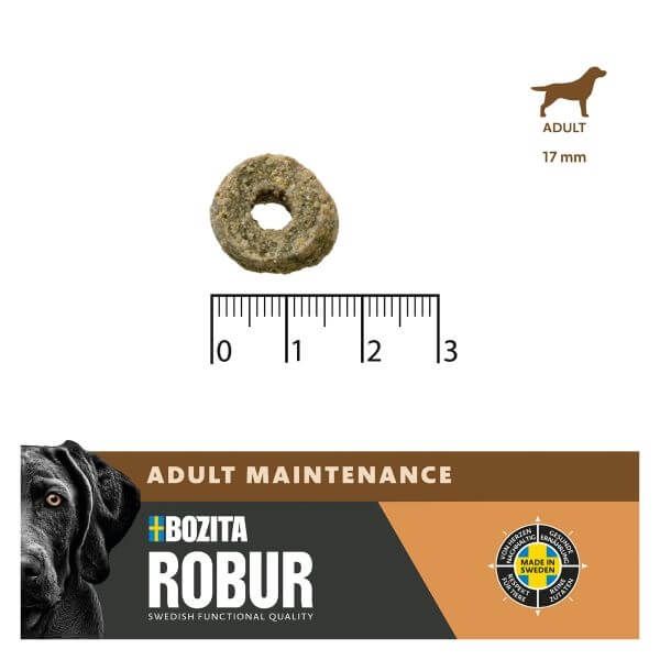Robur Adult Maintenance