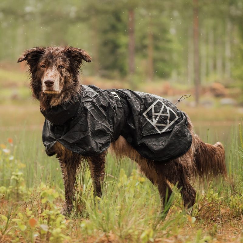 HUNDLANDS Regenmantel Stormsy