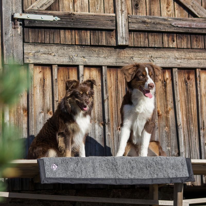 HUNDLANDS Hundedecke Hiking