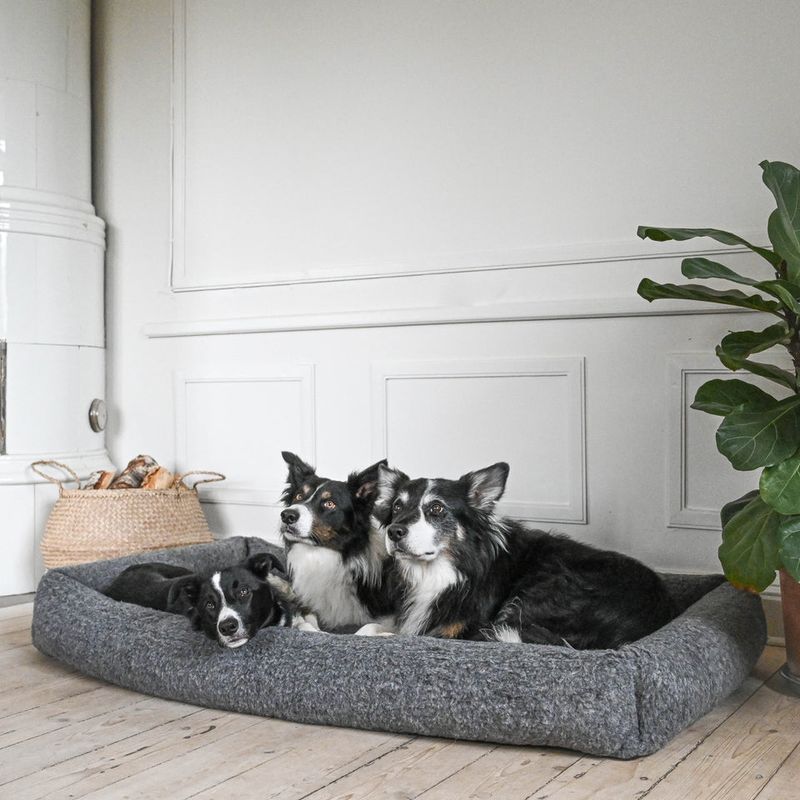 Hundebett Duo Cozy