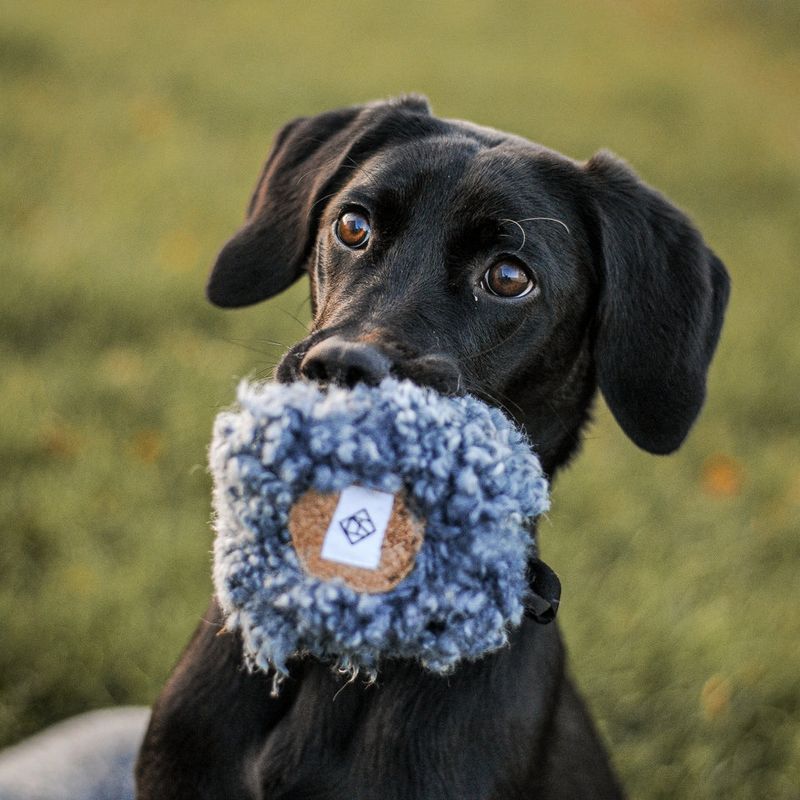 HUNDLANDS Leckerli Ball