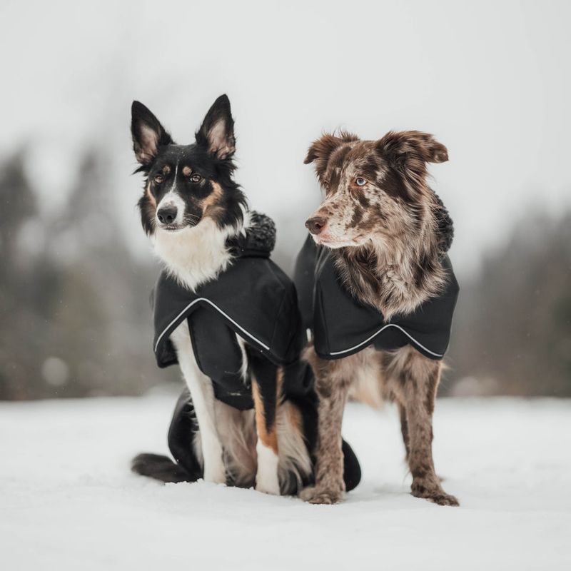 HUNDLANDS Wollmantel Hybrido Arctic