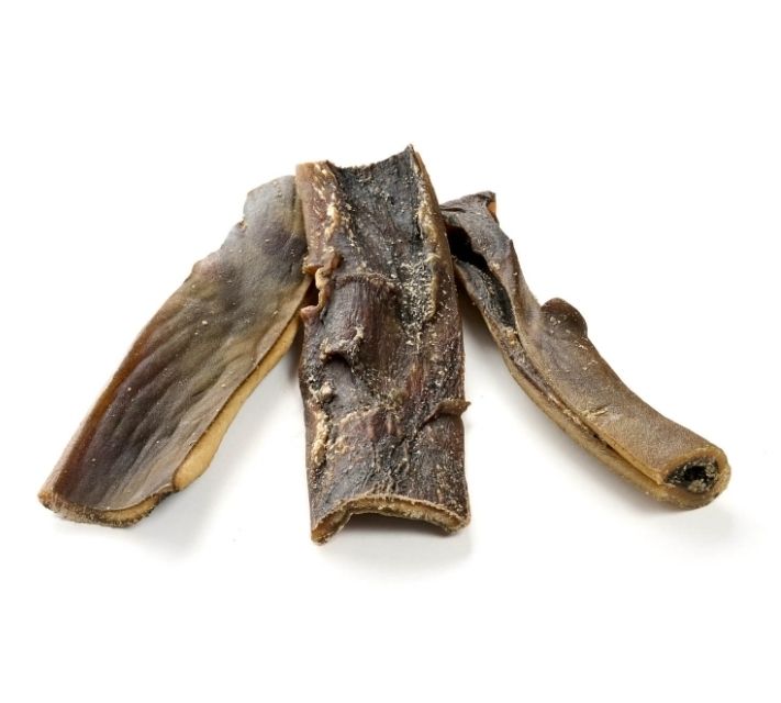 Kamel Kopfhaut