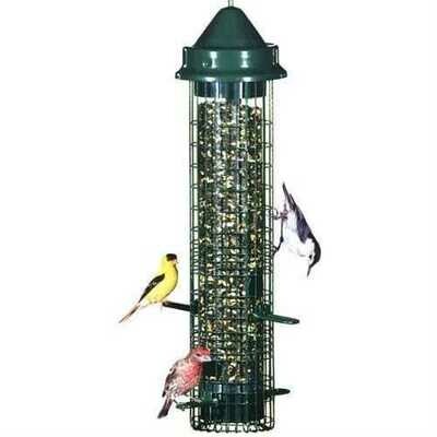 Bird Feeder