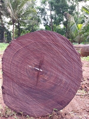 Indian Rosewood Wholesale