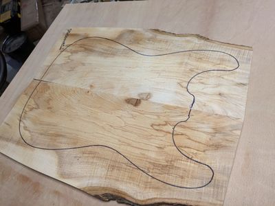 Sycamore carve top
