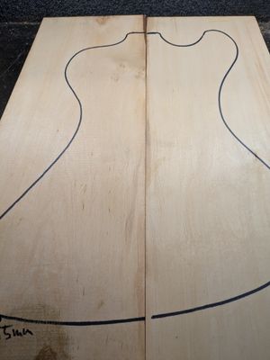 Body Blanks