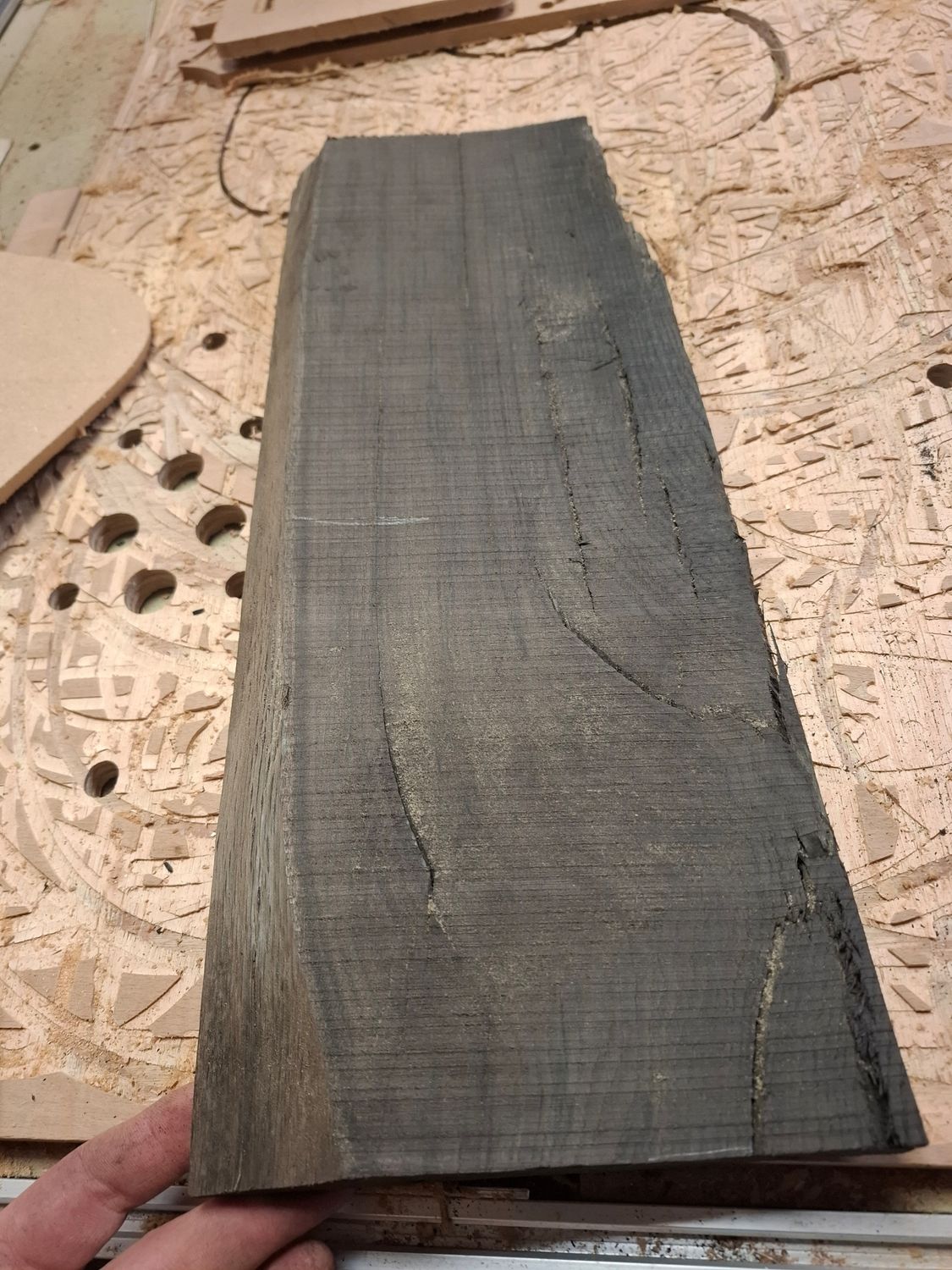 Ancient Bog Oak offcut 823