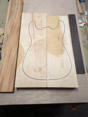 Electric Guitar Tonewood Deal 859