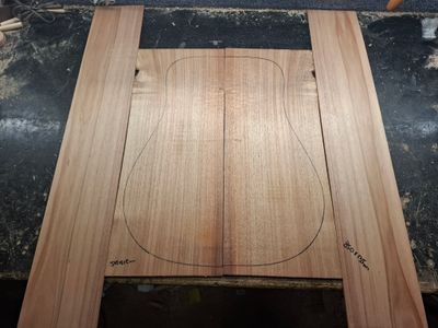Australian Blackwood Western Back and Sides 894