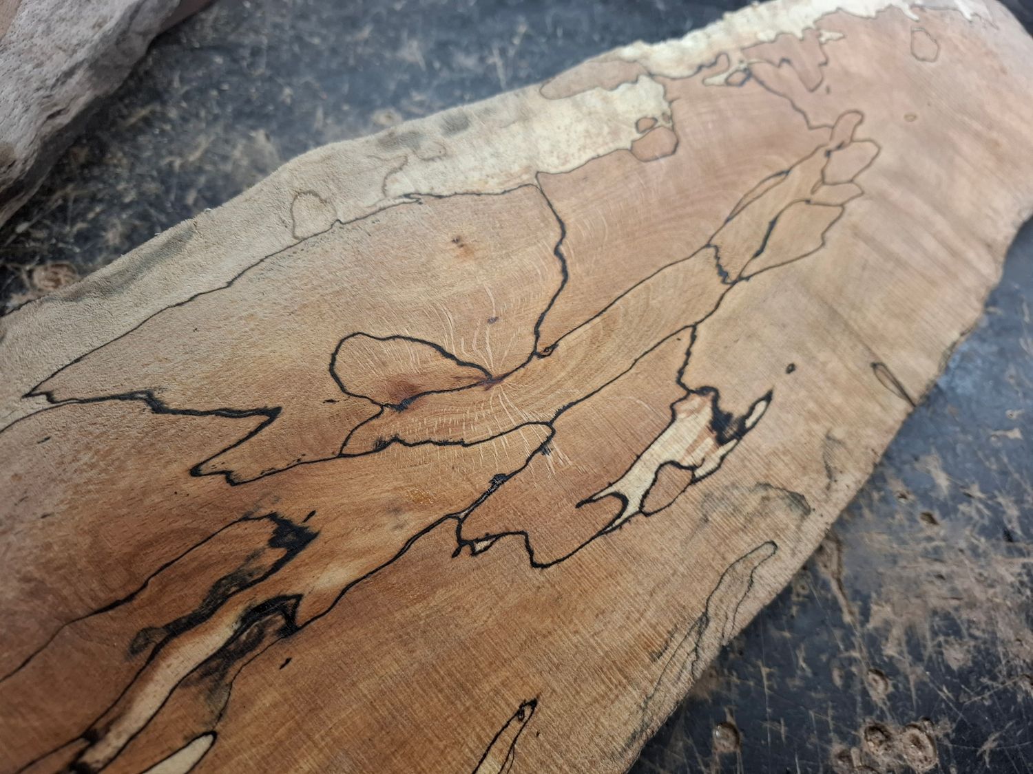 Spalted beech piece 929