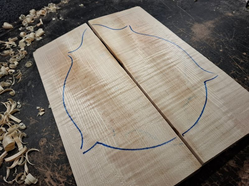 Mandolin/Violin Maple Wedges 943