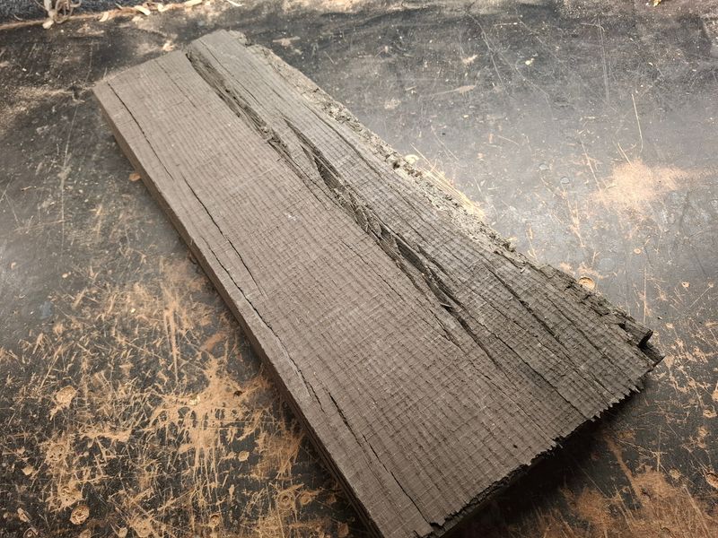 Ancient Bog Oak Piece 983