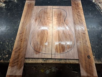 Curly American Walnut Back and Sides 986