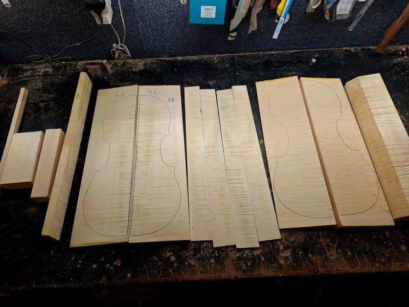 Viola Kit 1126