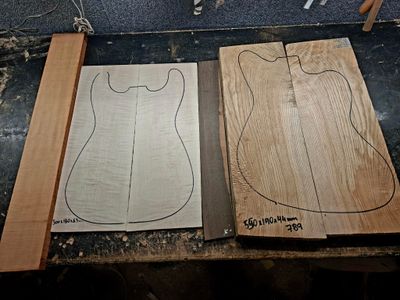 Electric Guitar Tonewood Deal 1154