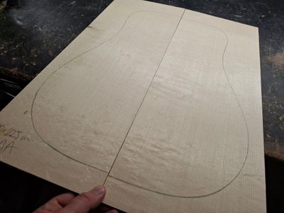 European Spruce Soundboard AA Bearclaw 1181