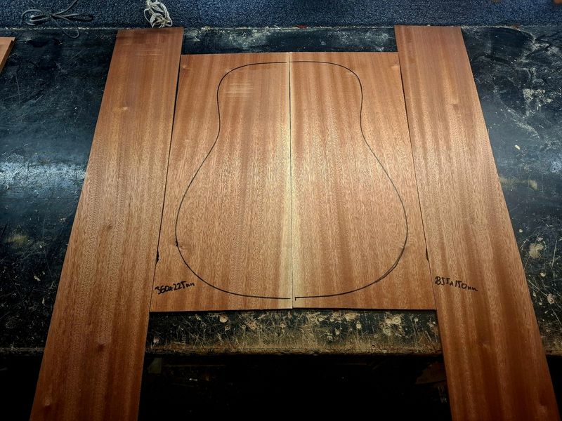 FSC Sapele Back and Sides Large 12063