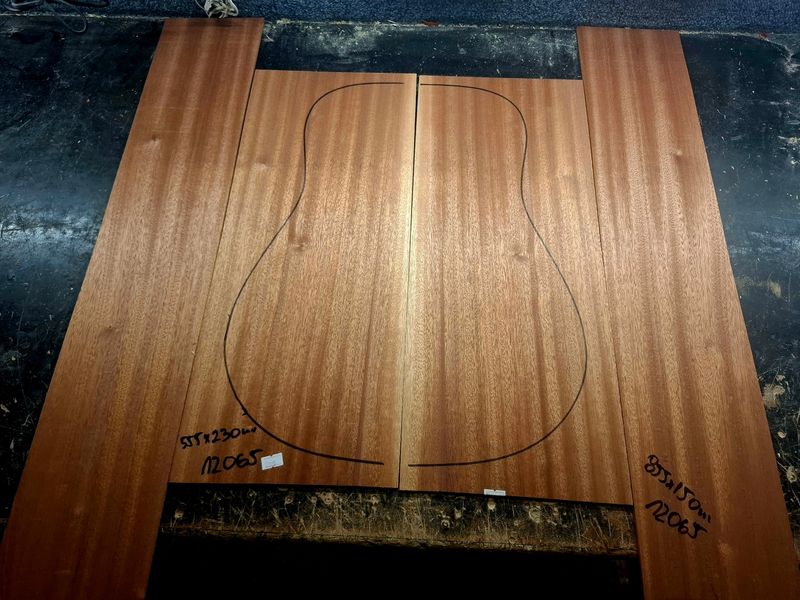 FSC Sapele Back and Sides Large 12065