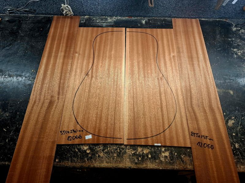 FSC Sapele Back and Sides Large 12066