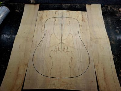 British Spalted Sycamore Back and Sides Set 12074