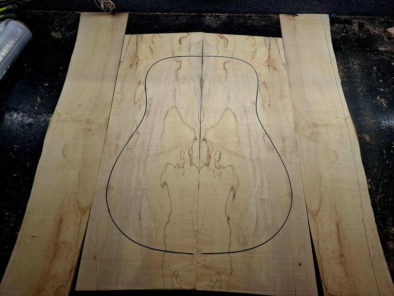 British Spalted Sycamore Back and Sides Set 12074