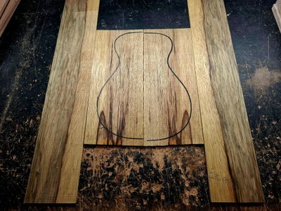 Korina Concert Ukulele Back and Sides 12080