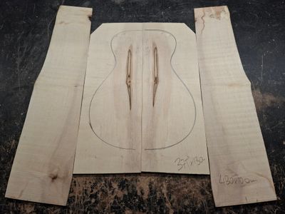Sycamore Back and Sides Tenor Baritone Ukulele 12104 Sycamore Back and Sides Tenor Baritone Ukulele 12104