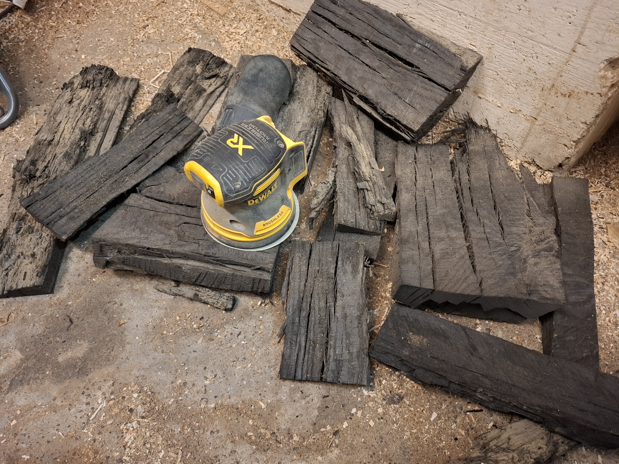Bog Oak Offcuts 12140