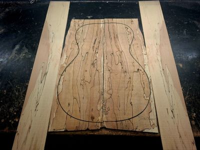 British Spalted Beech Back and Sides 12184