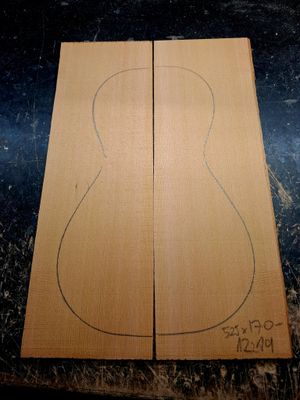 Canadian Cedar Parlour Soundboard 12219