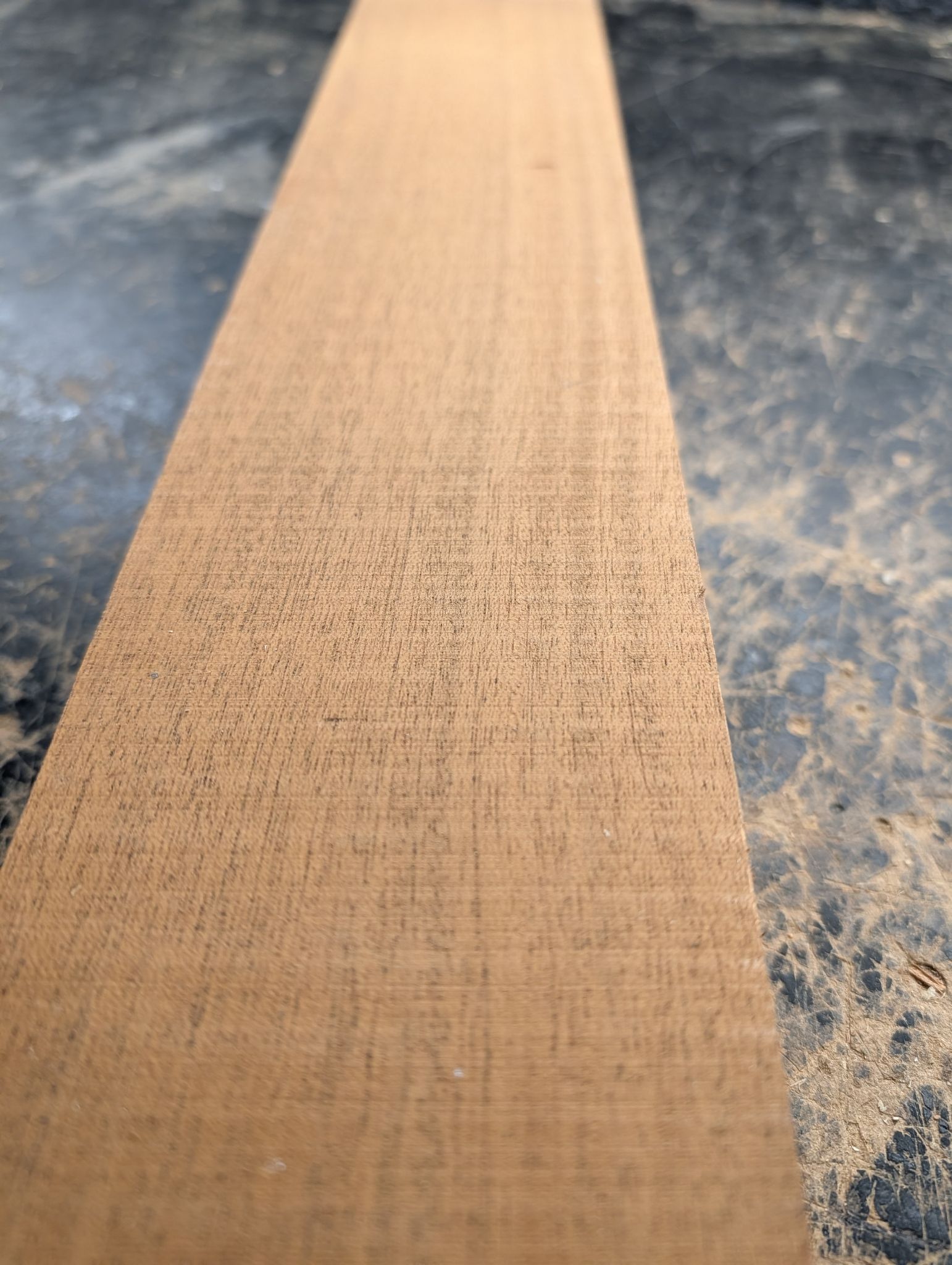 African Mahogany Large 2