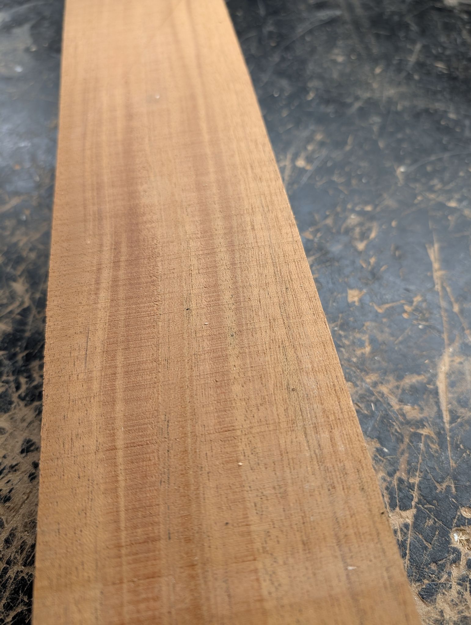 African Mahogany Large 2