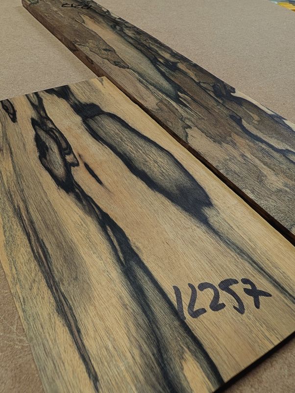 Pale Moon Ebony Fingerboard and Headplate 12257