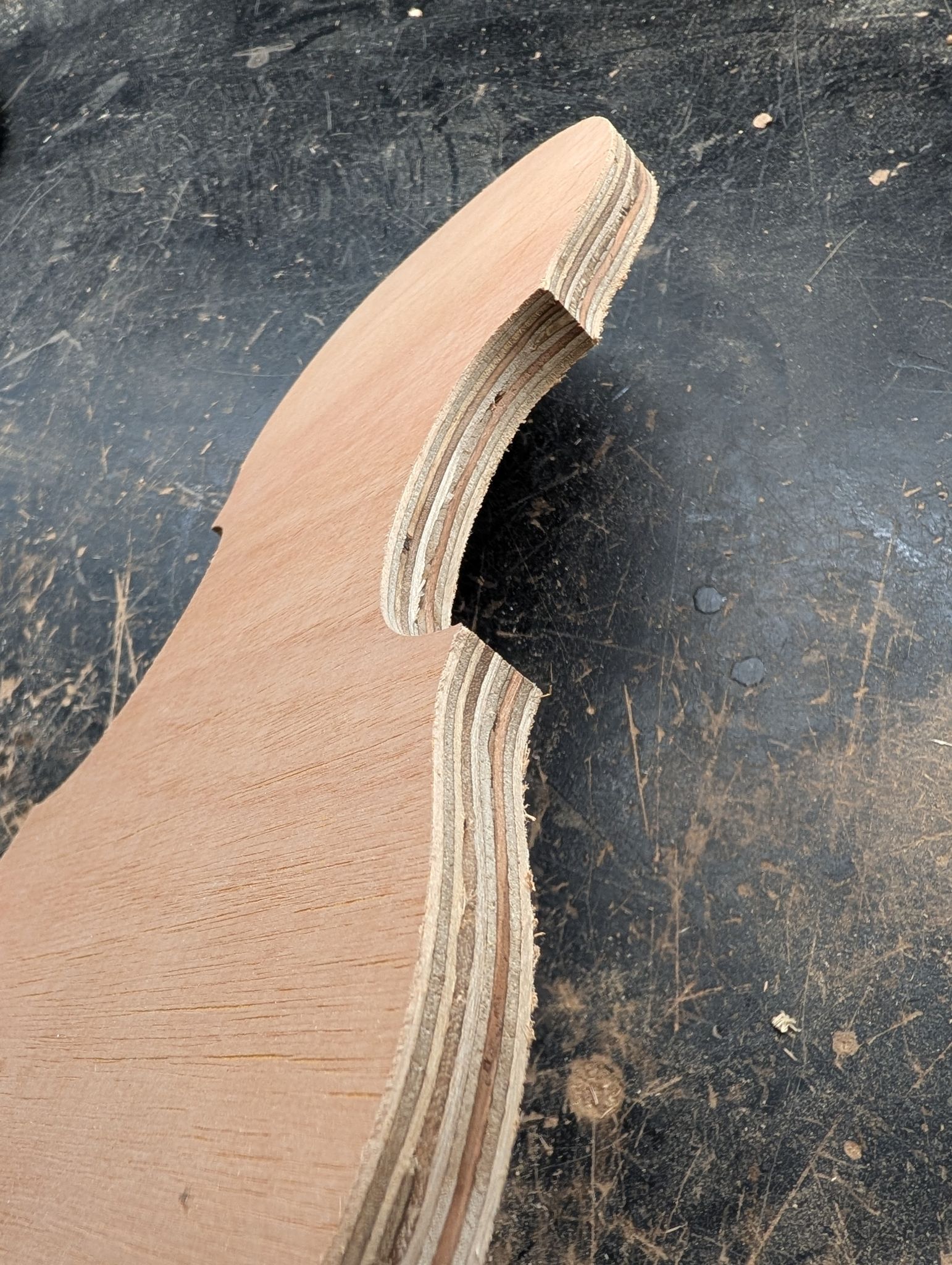 Stradivarius Messiah Violin Offcut