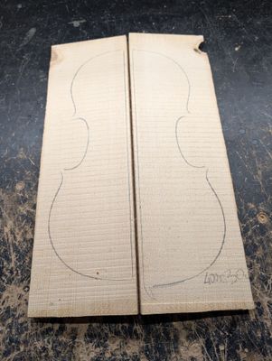 Violin Soundboard Spruce Wedges 12299 Violin Soundboard Spruce Wedges 12299