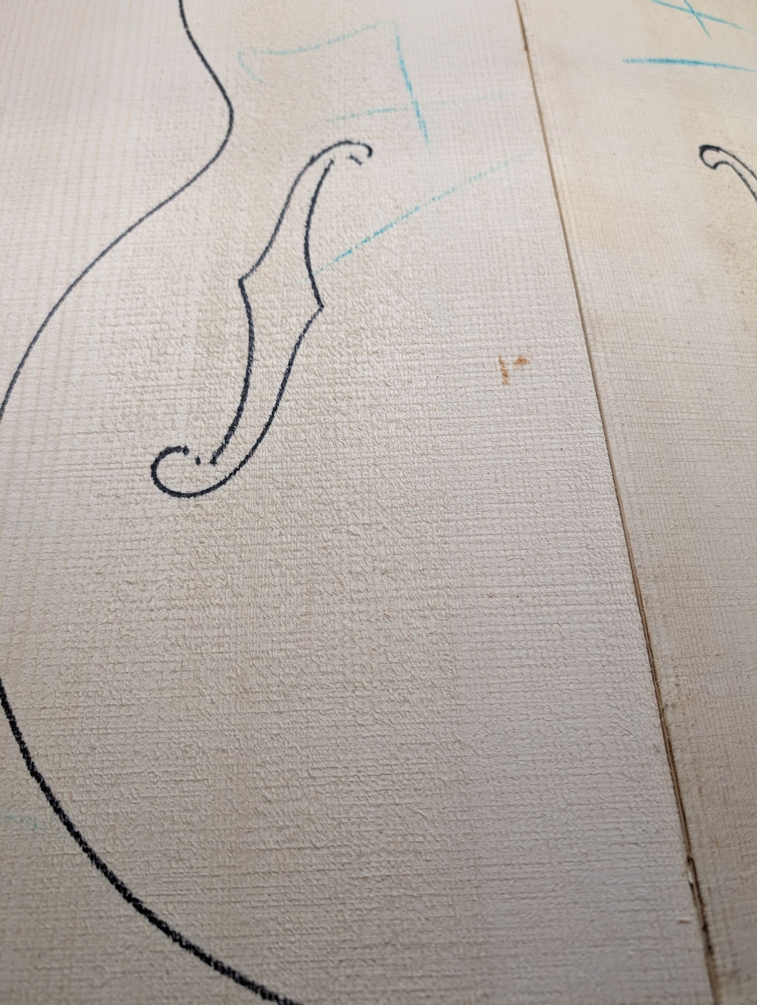 European Spruce Archtop Wedges Soundboard 12314