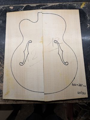 European Spruce Archtop Wedges Soundboard 12315