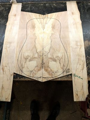 British Spalted Sycamore Back and Sides 1