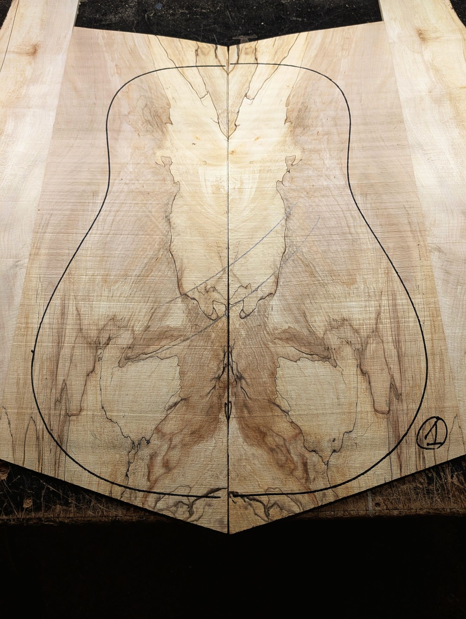 British Spalted Sycamore Back and Sides 1