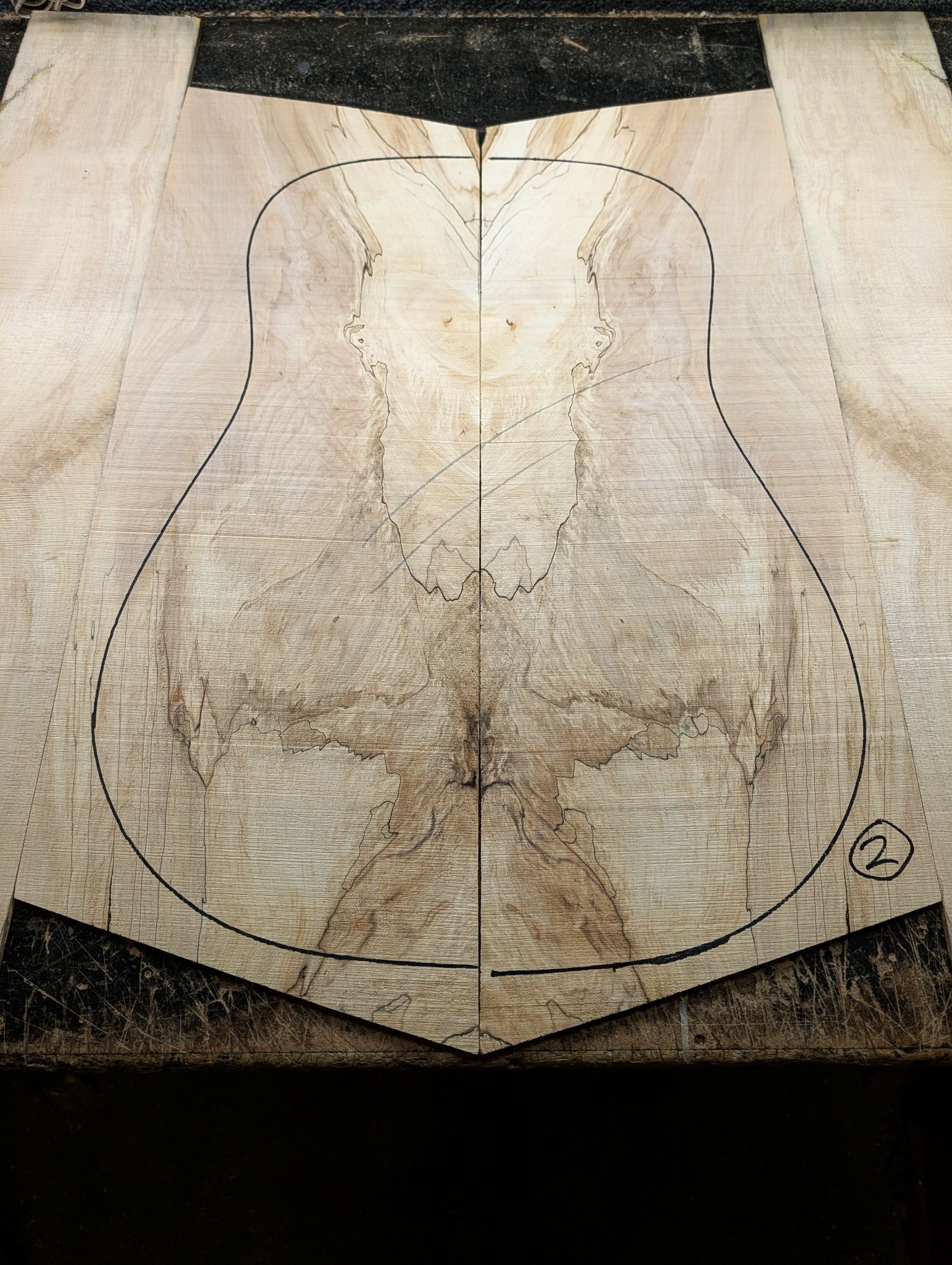 British Spalted Sycamore Back and Sides 2