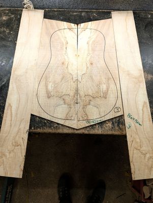 British Spalted Sycamore Back and Sides 3 British Spalted Sycamore Back and Sides 3