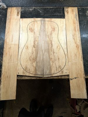 British Ash Back and Sides 12348 British Ash Back and Sides 12348