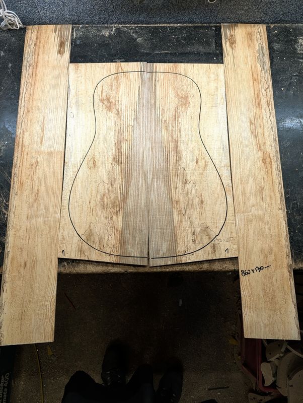 British Ash Back and Sides 12348